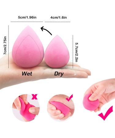 SourceTon Makeup Sponges & 20-Piece Brush Set - Professional Foundation & Eyeshadow Brushes in 4 Colors | International Shipping - Buy Online on GoSupps.com