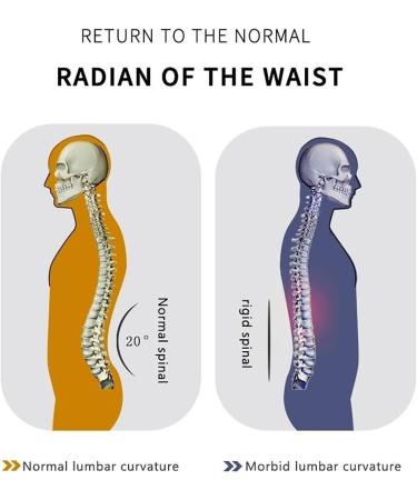 FoRes Waist Air Traction Brace Belt - 28 Air Columns for Lower Back Pain Relief | Small Beige Lumbar Support Device - Buy Online on GoSupps.com