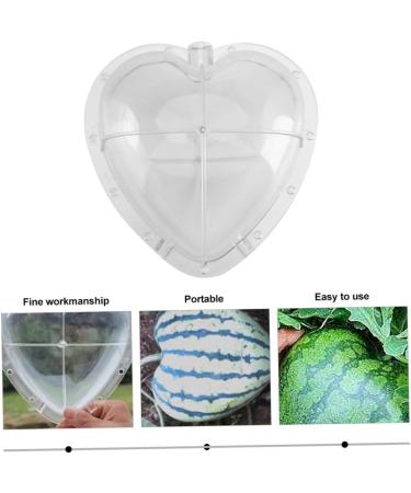 HOMSFOU Fruit Shaping Molds Vegetables Transparent Strawberry Forming Shaping Mould Garden Shaping Molds Fruit Watermelon Moss 17x17cm Transparent - Buy Online on GoSupps.com