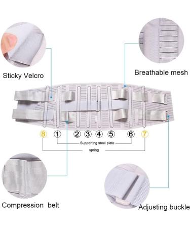 Ammfit XXL Lumbar Support Belt | Adjustable Back Support for Herniated Disc Sciatica & Scoliosis - Curved Aluminum Strips - Buy Online on GoSupps.com