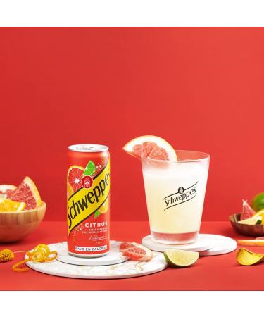 Schweppes Citrus Boisson P tillante Boisson Aromatis e aux Agrumes 330 ml - Buy Online on GoSupps.com