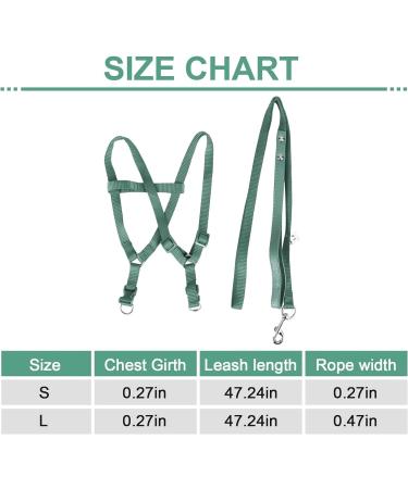 Felenny Bird Dishes & Adjustable Leash - Essential Outdoor Accessories for Scarlet Red Ara Sun Conure & Nymphensittich (Green Small) - Buy Online on GoSupps.com