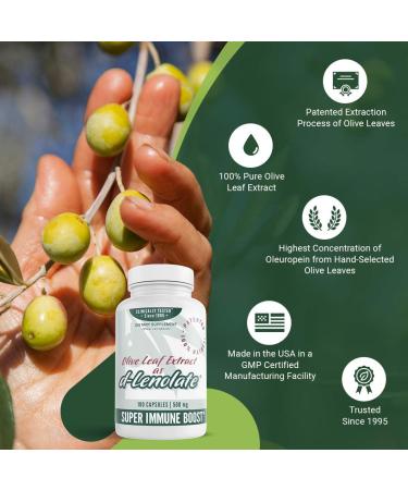 East Park Olive Leaf Extract 500mg Super Strength d-Lenolate | Immune System Booster with 18% Oleuropein | 180 Vegetarian Capsules (Non-GMO) - Buy Online on GoSupps.com