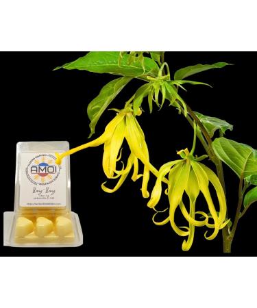 Filipino-Inspired Ilang-Ilang (Ylang-Ylang) Scented Candle Wax Melts