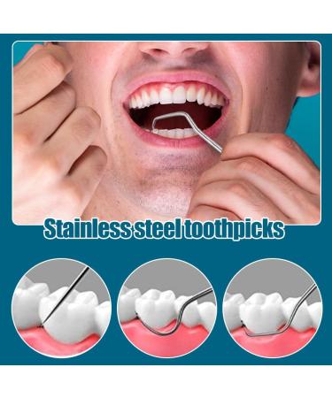 Stainless Steel Toothpick Set - Reusable Portable Metal Dental Picks for Travel Camping & Picnics (7 PCS - Buy Online on GoSupps.com
