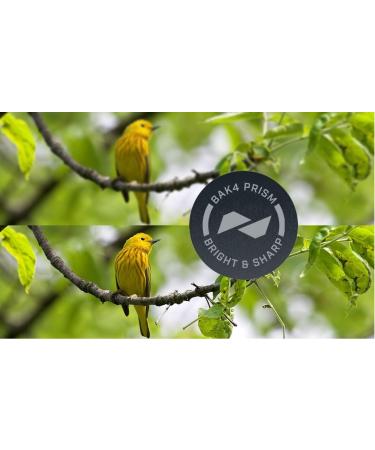 Bushnell H2O Waterproof/Fogproof Compact Roof Prism Binocular Black  8x25mm Binocular - Buy Online on GoSupps.com