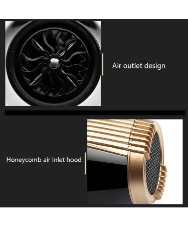 Hair Dryer Professional Ionic Hairdryer 2000W Salon Fast Blow Dryers 3 Heat 2 Speed Settings Low Noise Fast Drying Powerful AC Motor with Hair Nozzle for Home and Salon Men and Women Gold Small Gift - Buy Online on GoSupps.com