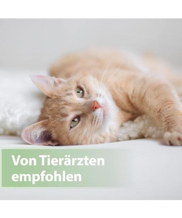 Felisept Dental Care Finger Pads for Cats - 50 Count | Effective Oral Hygiene Fresh Breath & Plaque Reduction - Buy Online on GoSupps.com