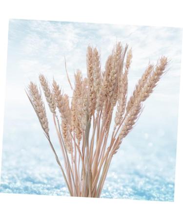 Cabilock Natural Dried Flowers 30 Pcs Natural Artificial Flower Decorative Artificial Flower As Shownx2pcs mediumx2pcs - Buy Online on GoSupps.com