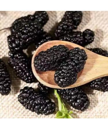 Zercumm Dry Mulberry 250G Mulberry Fruit Dry Mulberry Wild Super Soaking Water - Buy Online on GoSupps.com