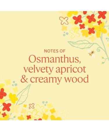 L'OCCITANE Osmanthus Hand Cream | Moisturizes Dry Hands Softens Skin & Vegan - Shop Now - Buy Online on GoSupps.com