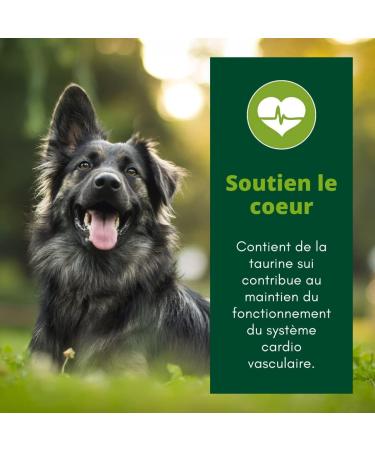 EQUILIBRE & INSTINCT - Adult Dog - Duck Wet Food Pate - Optimal Digestive Transit - Complete Recipe Formulated with Veterinarians - 9x300g - Made in France - Buy Online on GoSupps.com