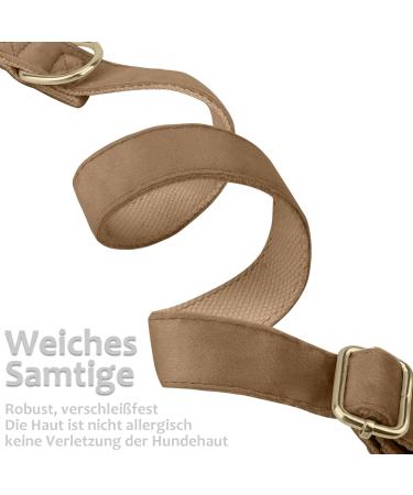 Asvin Velvety Dog Collar - Soft Comfortable & Multi-Color | Removable Dog Flying Accessory for Weddings & Parties - Size S Coffee - Buy Online on GoSupps.com