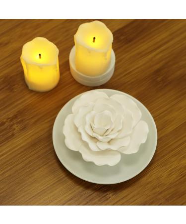 Passive Ceramic Essential Oil Diffuser - Non-Electric Mini Diffuser for Home & Office Decor | White Hibiscus - Buy Online on GoSupps.com