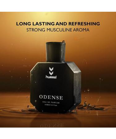 Odense Perfume EDP- 100 ml | Premium Long Lasting Luxury Fragrance | Citrusy Notes with Cinnamon and Vetiver | Best Men Perfume - Buy Online on GoSupps.com