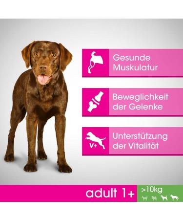 Mars Dog Adult 1 + M/L | 1.4 kg Dry Dog Food - Buy Online on GoSupps.com