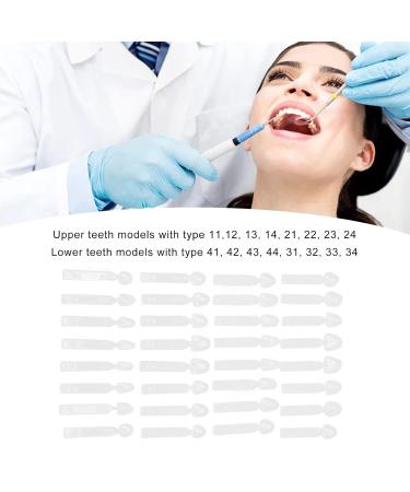 32-Part Dental Veneers Shape Set Heat-Resistant Various Shapes for Front & Back Teeth Perfect for International Shipping - Buy Online on GoSupps.com