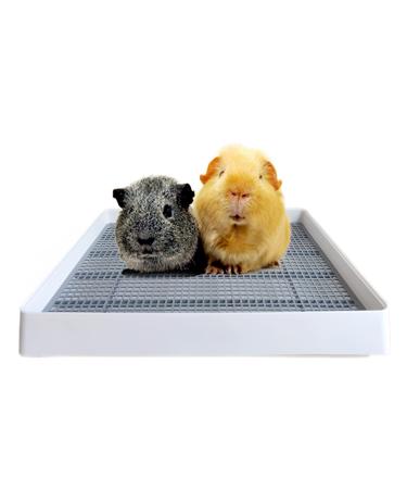 PODOO Rabbit Large Litter Box, Guinea Pig Training Pan Cage with Toilet Tray, Ideal for Rats, Hamsters, Ferret, Bunny Small and Medium Animals - Buy Online on GoSupps.com