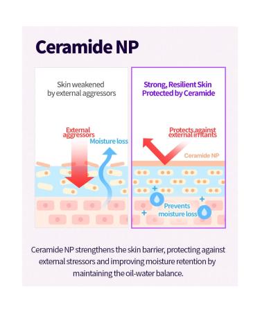 CHARMZONE Topclass Advanced Lifting Firming Cream Triple Collagen 8D Hyaluronic Acid & Ceramide NP for Moisture Firmness & Barrier Care Anti-Aging Face Cream 100ml / 3.38 fl oz - Buy Online on GoSupps.com