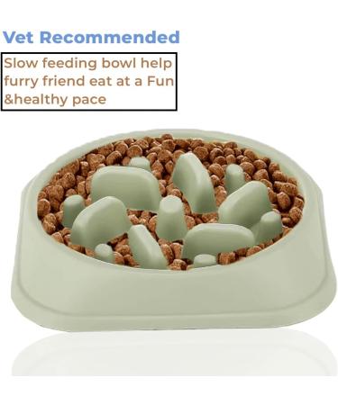 PTROUT Plastic Slow Feeder Dog Bowl - Prevent Choking & Overeating - Puzzle Pet Feeding Bowl for Medium & Small Dogs - Non-Slip Rubber Feet - Green - Buy Online on GoSupps.com