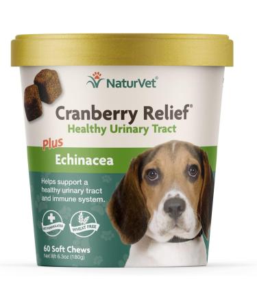 Veterinarian Strength Advanced Probiotics Healthy Enzymes & PB6 Probiotic Supplement & Urinary Health Supplement Soft Chews for Dogs Healthy Bladder & Urinary Tract Support 70 Count (Pack of 1) Probiotic Supplement + Nutritional Assorted - Buy Online on GoSupps.com