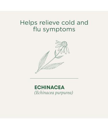 Traditional Medicinals - Organic Echinacea Plus Herbal Tea (Pack of 1) - Help Relieve Cold and Flu Symptoms - 16 Tea Bags Total Echinacea Plus 16 Count (Pack of 1) - Buy Online on GoSupps.com