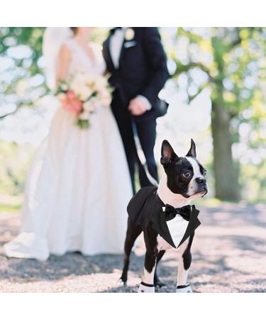 Kaket Formal Dog Tuxedo Bandana with Neck Tie Designs - Black (L) - Buy Online on GoSupps.com