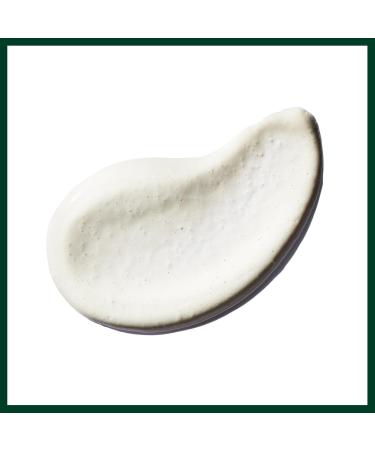 Aveda Botanical Kinetics Radiant Skin Refiner - Enhance Your Glow with Natural Ingredients - Buy Online on GoSupps.com