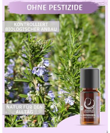 Organic Rosemary Oil Essential Oil (Cineol) - 10ml - Pure Spanish Rosemary for Biologically Cultivated Wellness - Buy Online on GoSupps.com
