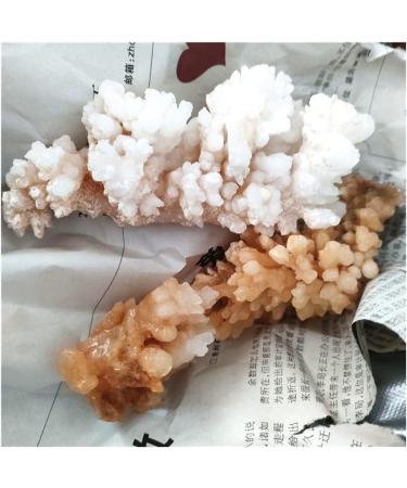Rare Natural Raw Quartz Crystal Cluster Stones Crystal Point Specimen Home Decoration Raw Crystals Full of Texture (Size : 80-130g) - Buy Online on GoSupps.com