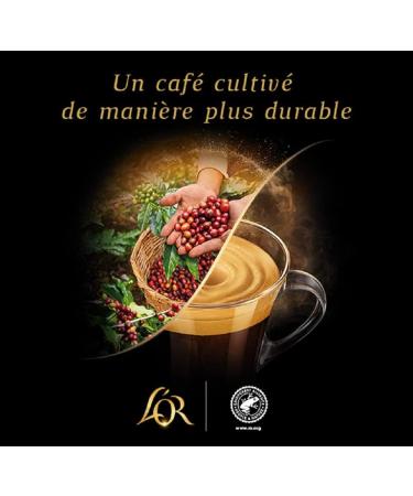 L'OR - Espresso Coffee - Rose Gold - Intensity 7 - Vegetable and Fruity Aromas - 10 packs of 10 aluminum capsules - Buy Online on GoSupps.com