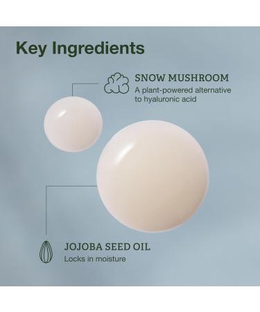 Botanics Hydrating Serum - Skin Plumping Serum for Face & Long-Lasting Hydration - Enriched with Snow Mushroom - Vegan & Cruelty-Free (0.84 Fl Oz) - Buy Online on GoSupps.com