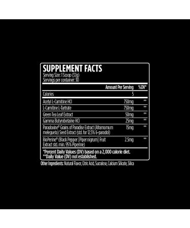 L-Carnitine 1500 Heat by VMI Sports | Stimulant-Free Thermogenic Support for Fat Loss | 1500mg L-Carnitine | Blackberry Lemonade Flavor | 30 Servings - Buy Online on GoSupps.com