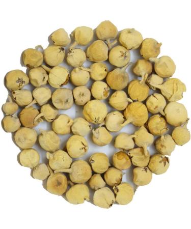 QURA Traders Paneer DODI/Indian Rennet/Paneer Doda/Withania Coagulans 1000 GMS - Buy Online on GoSupps.com