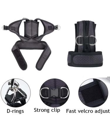 Janica Cat Dishes & Leash: Outbreak-Proof Unbreakable Cat Jewelry & Harness Sets Shop Internationally! - Buy Online on GoSupps.com