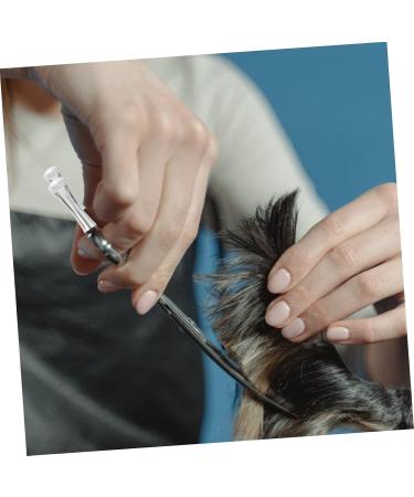 Buy Minkissy 12-Piece Stainless Steel Nail Scissor Set - Tail Nail Shears & Accessories for Precision Hair Cutting - Buy Online on GoSupps.com