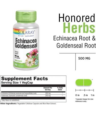 SOLARAY Echinacea & Goldenseal Root 500mg Capsules - Immune & Respiratory Support | Non-GMO Vegan | 100 VegCaps - Buy Online on GoSupps.com
