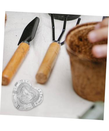 EXCEART 4pcs Heart Strawberry Mold Clear Fruit Vegetable Grow Shaping Melon Accessory Heart-shaped - Buy Online on GoSupps.com