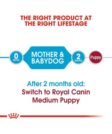 Royal Canin Medium Starter Mother and Babydog 4 kg 4 kg (Pack of 1) - Buy Online on GoSupps.com