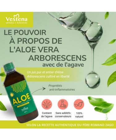  VESTENA Vestena - Aloe Arborescens with Agave 100% Pure Natural - Recipe Father Zago. Natural Detox Juice for Liver and Intestines Powerful Draining Slimming - 500ml - Made in Italy - Buy Online on GoSupps.com