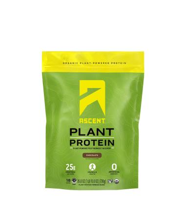 Ascent Organic Plant Based Protein Powder - Non Dairy Vegan Protein, Zero Artificial Ingredients, Soy & Gluten Free, No Added Sugar, 4g BCAA, 2g Leucine - Chocolate, 18 Servings Chocolate 40 Servings (Pack of 1)