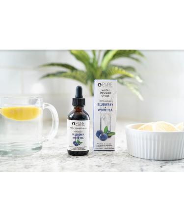 Pure Inventions Blueberry & White Tea Infusion Drops - 60 Servings, 2oz - No Sugar or Artificial Sweeteners - Buy Online on GoSupps.com