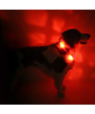 Leuchtie Luminous Elbe LED Dog Collar - Waterproof USB Rechargeable Ultra Bright & Durable - 25h Glow for Small Medium & Large Dogs - Size 60 Red - Buy Online on GoSupps.com