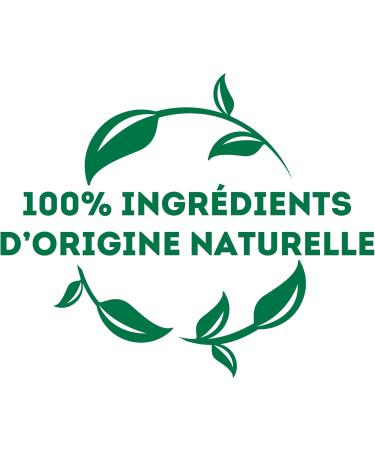Lipton Verbena Mint Flavored Infusion Freshness Nespresso Compatible Capsules 100% Natural Ingredients 10 Caps - Buy Online on GoSupps.com