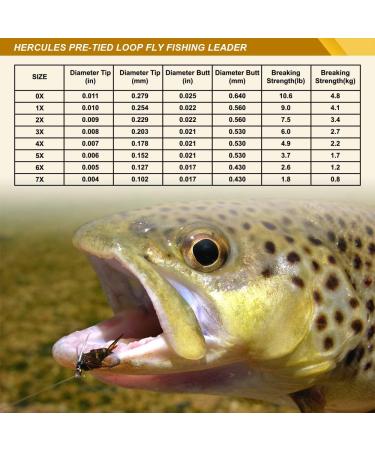 Hercules Pre-Tied Loop Fly Fishing Leader 6 Pack with Tapered Wallet 9FT - 4X, 4.9LB - 6pcs - Buy Online on GoSupps.com
