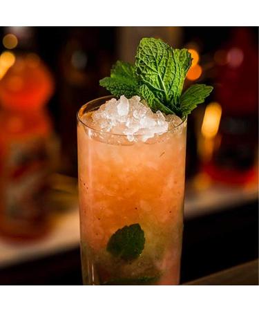  SANZ Ginger & Chili 0.7 Liter Sanz I Cocktail Syrup - Buy Online on GoSupps.com