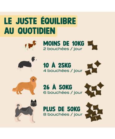 FRANKLIN Food Supplement for Dogs Probiotics Easy Digestion Reinforced Intestinal Flora Natural Active Ingredients All Ages 100 Bites 150g - Buy Online on GoSupps.com