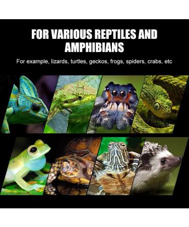 Mini Digital Reptiles Thermometer Hygrometer | Accurate Temperature & Humidity Meter for Terrariums | Ideal for Spiders Scorpions Lizards Chameleons & Snakes - Buy Online on GoSupps.com