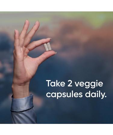 Sports Research Sleep Complex- Melatonin-Free Vegan Capsules - with Valerian Root GABA L-Theanine Magnesium & 5-HTP - 30 Servings 60 Count (Pack of 1) L-theanine Sleep Complex - Buy Online on GoSupps.com