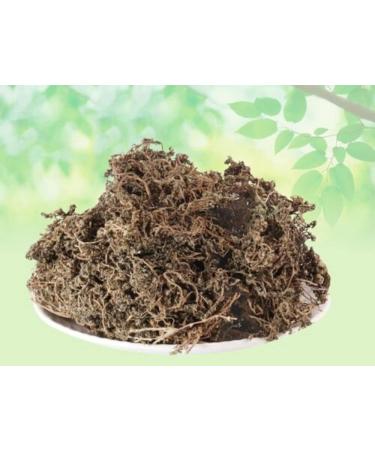 Nak Chikni-Dregea Volubilis-Raw Herbs-Nak Chikni-Sneeze Wort-Centipeda Minima-Jadi Booti-Single Herbs (100 Gram)